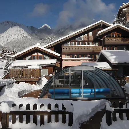 Les Edelweiss La Plagne