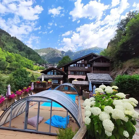 Les Edelweiss Holiday home *